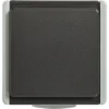 Opbouw Wandcontactdoos (wcd) 1-voudig RA IP54 Lichtgrijs/donkergrijs Spatwaterdicht