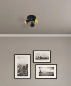 FLAIR Opbouwspot Alrakis 3-lichts Zwart-goud