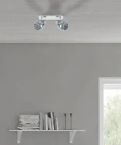 FLAIR Plafondspot Acubens 2-lichts Nikkel/rookglas