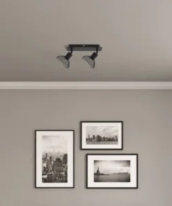 FLAIR Plafondspot Acamar 2-lichts Zwart