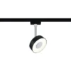 PAULMANN URail LED Spot Circle Zwart Mat 2700K