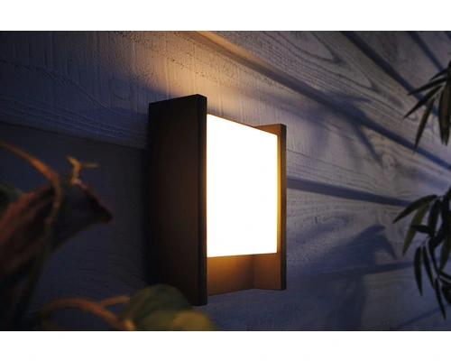 PHILIPS Hue White LED Buitenlamp Fuzo Zwart - Afbeelding 2
