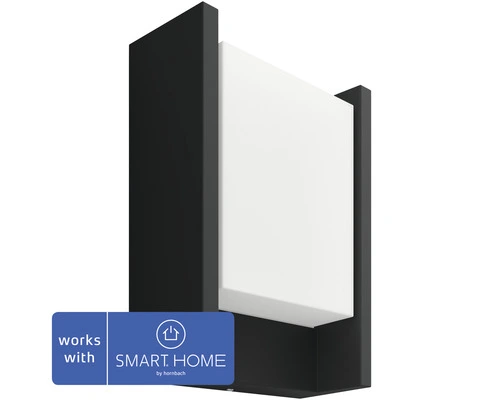 PHILIPS Hue White LED Buitenlamp Fuzo Zwart