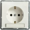 ROTH LANGE Plus Inbouw Wandcontactdoos (wcd) RA 1-voudig Met Tekstvenster Zuiver Wit