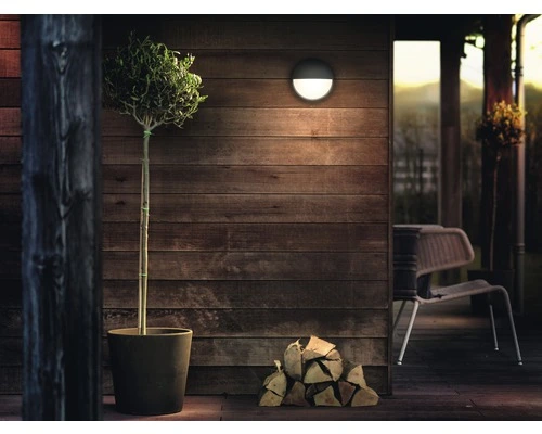 PHILIPS LED Buitenlamp Capricorn Antraciet - Afbeelding 2